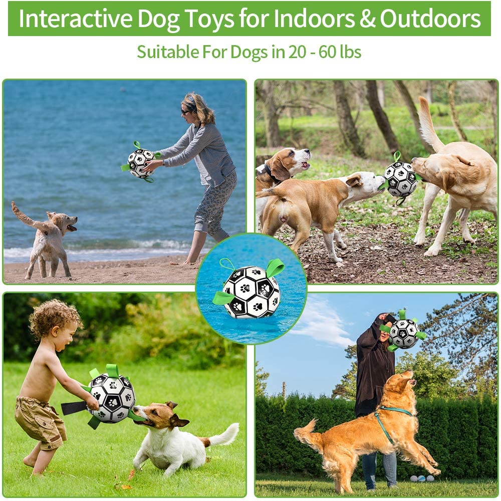 Interactive Football Dog Toy