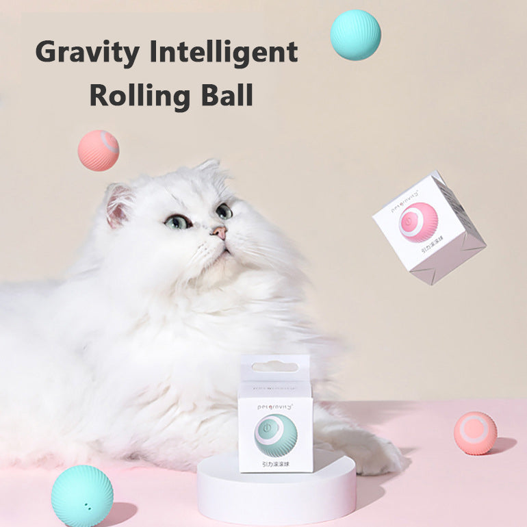 Rolling Kitty Tease Ball