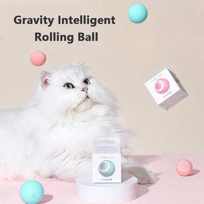 Rolling Kitty Tease Ball