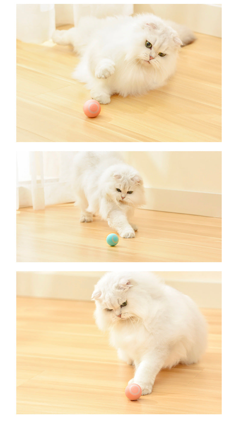 Rolling Kitty Tease Ball