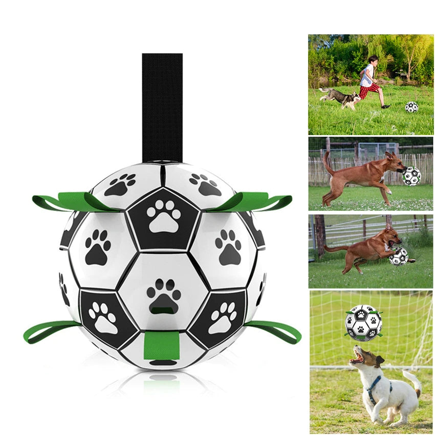 Interactive Football Dog Toy