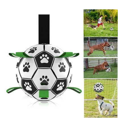 Interactive Football Dog Toy